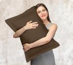 Chocolate Microfiber Pillow Shams 2 Pack - 20x26 Inch