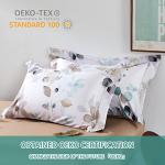 Teal Leaves Cotton King Pillow Shams - 2 Pack