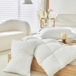 Warmdern White Microfiber Pillow Covers Set of 2