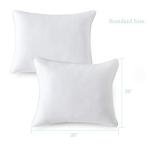 Seward Park Standard Size Cooling Pillow Set
