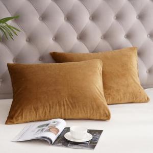 Super Soft Velvet Pillowcases 2 Pack, 20" x 26