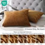 Super Soft Velvet Pillowcases 2 Pack, 20" x 26