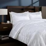 Luxury Satin Silk Queen Comforter Set 3 Piece