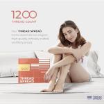 Luxury 100% Egyptian Cotton King Size Sheet Set