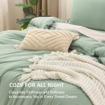 Sage Green Queen Comforter Set - 3 Pieces