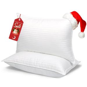 COZSINOOR Bed Pillows for Sleeping Queen Size - Hotel Quality Set of 2 - Breathable Down Alternative Microfiber Filled for Back, Stomach, Side Sleepers, Cooling & Skin-Friendly