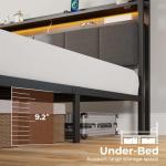 Queen Bed Frame with LED Lights and Storage