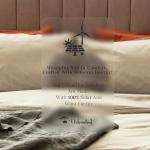 UrbanHut 700 Thread Count Queen Sheet Set - Ivory