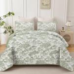 Sage Green Botanical Queen Quilt Set - 3 Pieces