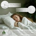 Erosebridal Ocean Theme Turtle Twin Bedding Set