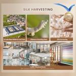 THXSILK Silk Sheet Set 4Pcs, 6A+ Top 100% Natural Mulberry Silk Bed Sheets, Breathable Cooling Luxury Bedding Sets Ultra Soft Durable, 1 Fitted Sheet, 1 Flat Sheet and 2 Pillow Shams (King, Charcoal)