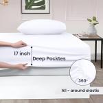 Luxury 4-Piece Egyptian Cotton Queen Sheet Set