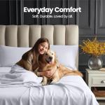 Luxury Microfiber 4-Piece Bed Sheet Set - Queen