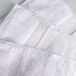 Luxury Egyptian Cotton Bath Sheet Set of 2