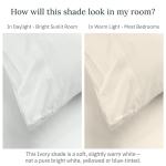 Luxury Egyptian Cotton Queen Bed Sheet Set
