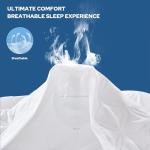 Queen Size Waterproof Mattress Protector 2-Pack