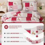 Christmas Quilt Set Queen Size with Snowman Design