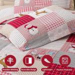 Christmas Quilt Set Queen Size with Snowman Design