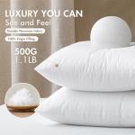 MIULEE Set of 2 18x18 Inch Pillow Inserts