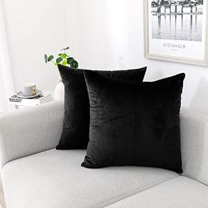 Velvet Decorative Throw Pillow Covers – Pack of 2