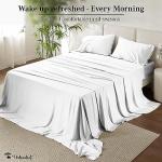 Luxury 700 Thread Count Cotton Queen Sheet Set