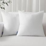 MIULEE Set of 2 18x18 Inch Pillow Inserts