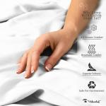 Luxury 700 Thread Count Cotton Queen Sheet Set
