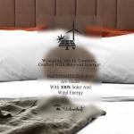 Luxury 700 Thread Count Cotton Queen Sheet Set
