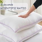 King Size Breathable Down Alternative Bed Pillows Set