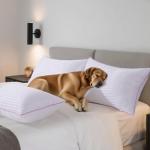 King Size Breathable Down Alternative Bed Pillows Set