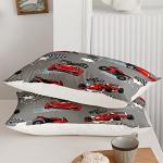 Axolotl Twin Comforter Set with Racing Cars
