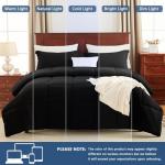 CozyLux 3-Piece Soft Black Bed Set