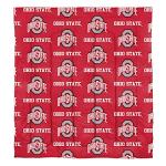 Ohio State Buckeyes Full Bed in a Bag Set