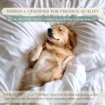 Eucalyptus Sheet Set - Cooling, Soft, Anti-Odor