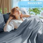 Luxurious Egyptian Cotton Sheet Set, Queen Size