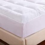 Queen Cotton Waterproof Mattress Pad with Pillowtop