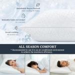 Cozsinoor Hotel Quality Alternative Down Pillow Set