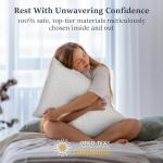 Cozsinoor Hotel Quality Alternative Down Pillow Set