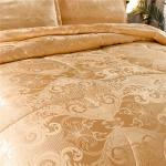 Raytrue-X Luxury Gold Silk Queen Comforter Set