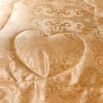 Raytrue-X Luxury Gold Silk Queen Comforter Set