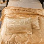 Raytrue-X Luxury Gold Silk Queen Comforter Set