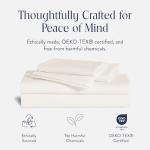 Brooklinen Luxury Cotton Sateen Sheet Set - Cream