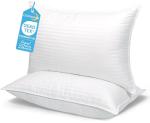 Cozy Queen Bed Pillows Set of 2