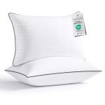 Fluffy Queen Size Pillows Set for All Sleepers