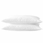 Soft Hypoallergenic Standard Pillow Set of 2