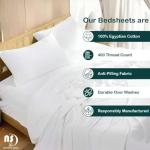 Queen 4-Piece Premium Egyptian Cotton Sheet Set