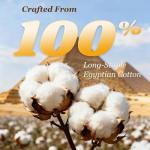 King Size 1000 Thread Count Cotton Sheet Set