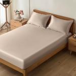 Beige Satin Queen Bed Sheet Set with Pillowcases