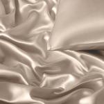 Beige Satin Queen Bed Sheet Set with Pillowcases