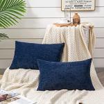 Decorative Lumbar Support Pillow Covers Set of 2